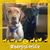 Tania Simmons's profile image