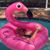 Sherry K. Phillips's profile image