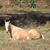Michelle Hanshaw Henry's profile image