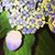 Nancy Morgan's profile image