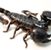 Mark Antaress's profile image
