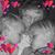 Angie Atwater Dameron's profile image
