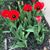Valerie Sespaniak's profile image
