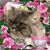 Kathy McCausey's profile image