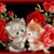 Maritza Alfaro's profile image