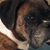 Lisa Liskey Will's profile image