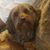 Sandy Keeling's profile image