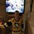 Tracy Wirmel Gorgacz's profile image