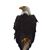 Donald Lydick's profile image