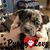 Stacey Smalley Hibner's profile image