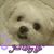 Patsy Meshaw's profile image