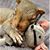 Shanon Coates DeVries's profile image