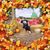 Eva Jill Miller's profile image