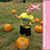 Jodi Bakerbrown's profile image