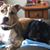 Debbie Sidwell's profile image