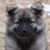 Catherine Luther's profile image
