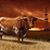 Steve Yelverton's profile image