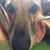 Emily Volk's profile image