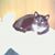 Misty Wright's profile image