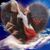 Leda Carvallo's profile image