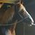Circle Creek Farm's profile image
