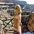Ashlee Dunne's profile image