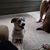 Jackie Bohon's profile image