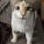Deborah Edwards's profile image