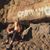 Samantha Lantz's profile image