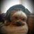 Tammy Arnold Wunderlich's profile image