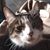 Paul John Kurf's profile image