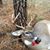 James Craig's profile image