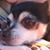 Jo Ann Tucker's profile image