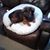 Laurie Sprague's profile image