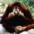 Marv Olson's profile image