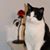 Neal Ranzoni's profile image
