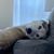 Stephanie T. Cruz's profile image