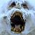 Brice Painter's profile image
