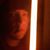 Pickles McGee's profile image