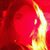 Katie Anderson's profile image