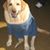 Maverick Wilbers's profile image