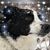 Michelle Phillips Buchberger's profile image