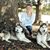 Catlyn Vickers's profile image