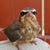 Teresa L Watts's profile image