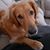 Heather L. Akridge's profile image