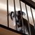 Tessa Shallenbarger's profile image