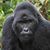 Michael Blatchley's profile image