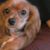 Michelle Coldsmith's profile image