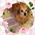 Becky Sindermann's profile image