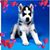 Debbie Hall's profile image